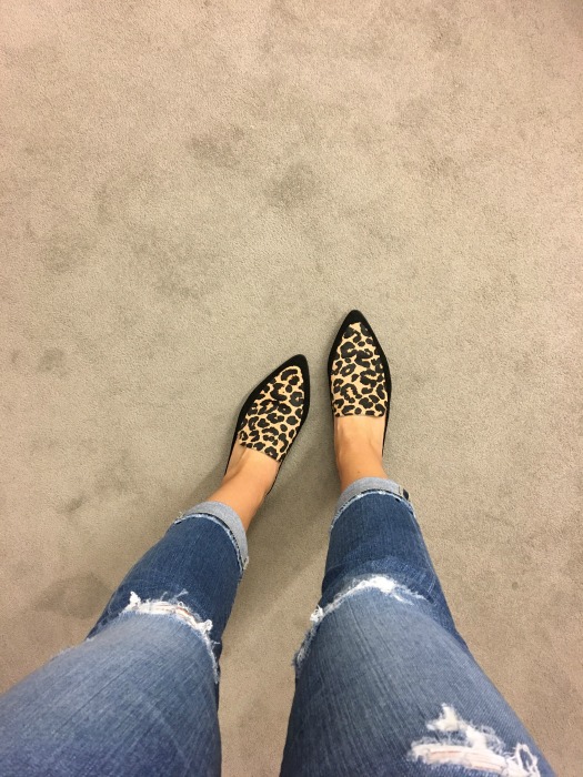 halogen mules leopard